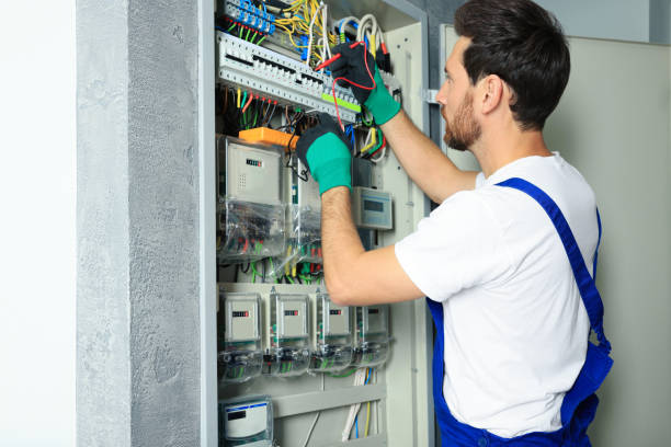 Best Electric Panel Repair  in Denton, MD